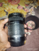 55-250 zoom lens